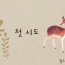 킴스 펫클리닉 이미지