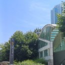 해돋이 | 6월여행지 추천 송도여행 송도해돋이공원 장미원 방문후기