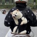 서래로6길 25 이미지