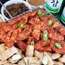 경북곰장어 이미지
