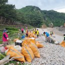 백로서식지 이미지