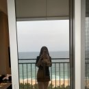 세븐일레븐성사중앙점 | 강릉 | 오션뷰 세인트 존스 호텔 후기