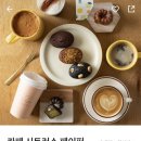 카페시트러스페이퍼