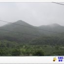 진산농장 이미지