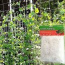 호박가든 이미지