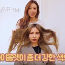 더(THE)뷰티 헤어샵