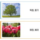 서연고등학교 | (일반고) 서연고등학교 2025 신입생 입학안내, 학교안내