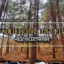 스테이산음