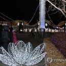 꽃빛 연합뉴스
