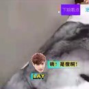 솜뭉치 이미지