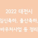 2022 대전시 임신축하, 출산축하, 유아동 지원, 바우처 사업 등 정리