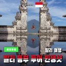 동부농장 | 발리 동부 투어 (렘푸양사원, 발리스윙, 띠르따 강가 등) 인생샷 남기다 얏호