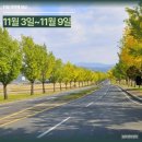 은성프라자사우나 | 11월 첫번째 일상 기록, 11월 3일~11월 9일