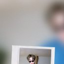 그라치아 이미지