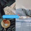 신혼집 침구 추천! 12계절 쓰고 있는 마틸라 침구 여름이불,겨울이불 내돈내산후기