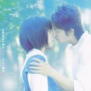 포레스트 이미지