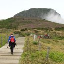 산 매일경제