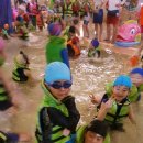 성균관태권스쿨 이미지