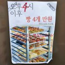 유투베이커리카페 | 속초 오션뷰 대형카페, 다양한 브런치메뉴 반려견 동반가능 인테리어 이쁜 감성카페- 유투베이커리카페