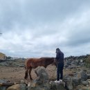 스테이 인터뷰 올레 이미지