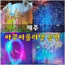 고성리-14 | 아쿠아플라넷 제주 공연 시간 오션 아레나 실내 가볼 만한 곳