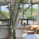 바다텃밭 Lab 이미지