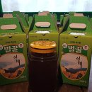 자작나무숲펜션 이미지