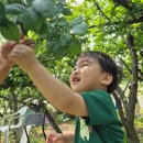 동근농장 이미지