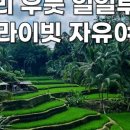 주식회사 여행천국 이미지