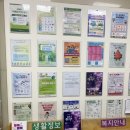 밸리댄스(야간) 이미지