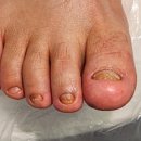 푸스케어 롯데마트제천점 이미지