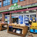 울릉도 | 특산품, 기념품 &#39;영광상회&#39; 불친절 비추 후기!
