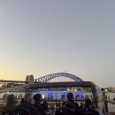 (주)논스톱투어 | 시드니 빅버스 나이트 투어 야경 2층버스 노선 예약 후기