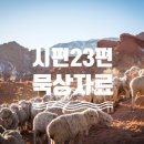 송옥성 네이버블로그
