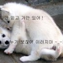 다
