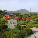 갈멜사슴농원 이미지