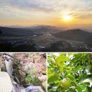 하늘별 영농조합법인 이미지