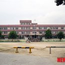 동명초교 이미지