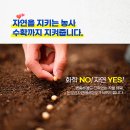 오수 친환경 비료 실사용 후기