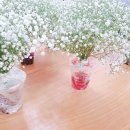 드라이홈패션 이미지