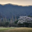 톨게이트 골프존 | 골프존 천안CC 천안골프텔 1박2일골프패키지 정보 라운딩후기