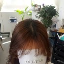 헤어살롱 에비뉴엘 이미지