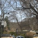 과천성당 건너편 버스정류장 | [동작/안양] 과천향교-관악산-연주암-연주대코스 정기 받으러 갔다 지쳐버린 관악산 생생등산후기