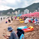 남천1-219 이미지