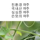 여주-0911 네이버블로그