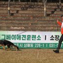 Gumiland 이미지