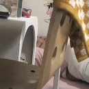 호주워홀 +12 | 노잼도시 게톤 입성