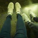 커플 드래곤 이미지