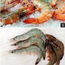 대하