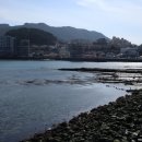 중앙시장여객선터미널 (건너편) 이미지